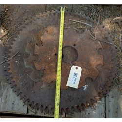 Timber Saw Blade Collection  (122718)