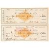 Image 1 : New York Hill Gold Mining Co. Revenue Checks (2)  (58563)