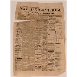Salt Lake City Daily Tribune and Mining Gazette  (113600)
