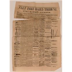 Salt Lake City Daily Tribune and Mining Gazette  (113600)