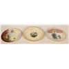 Image 1 : Montana Souvenir Plates (3)  (110255)