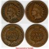 Image 2 : Indian Head Penny Hoard  (117608)