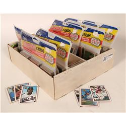 Baseball Card Group 1989-1990  (110604)
