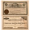 Image 1 : Two Different California Mining Stocks  (118421)