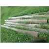 Image 1 : 35 pcs - 7) 8' Treated Posts 21) 7' Treated Posts 7) 6' Treated Posts