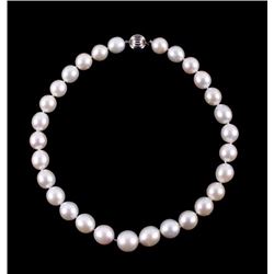 South Sea White Pearl 14K Gold Necklace - 16mm
