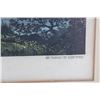 Image 3 : Rare "In The Northern Wilds" Original Lithograph