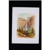 Image 12 : 1890 Collection Yosemite Chromolithographs