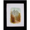 Image 32 : 1890 Collection Yosemite Chromolithographs
