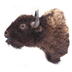 Montana Great American Buffalo Shoulder Mount