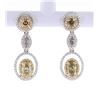 Image 1 : Fancy Colored Diamond 14K Gold Dangle Earrings