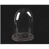 Image 1 : Vintage Blown Glass Display Cloche Dome w/ Base