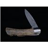 Image 1 : Wooly Mammoth Bone Raindrop Damascus Knife