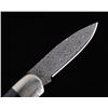 Image 9 : Wooly Mammoth Bone Raindrop Damascus Knife