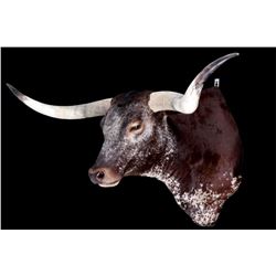 Large Western Longhorn Steer Shoulder Mount