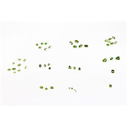 Chrome Diopside Loose Stones 14.61CTW