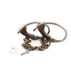 Image 1 : Early 1900's US Iron Ankle Shackles "The Judd"