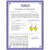 Image 2 : Genuine 21.5 ctw Quartz Lemon Earrings 14KT Yellow Gold - REF-33X7M