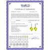 Image 2 : Genuine 21.65 ctw Lemon Quartz & Diamond Earrings 14KT White Gold - REF-52H9X