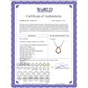 Image 2 : 10.13 CTW Multi-Color Sapphire & Diamond Necklace 18K White Gold - REF-498R7K