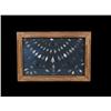 Image 1 : Framed Arrowhead Collection of 89 piece