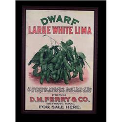 D.M.Ferry Co. Seed Poster c.1900 "Dwarf