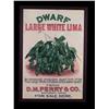 Image 1 : D.M.Ferry Co. Seed Poster c.1900 "Dwarf