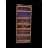 Image 1 : Oak, 6 stack Lawyers' bookcase