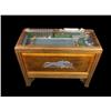 Image 1 : Paces Races 5 Cent Floor Model Horserac