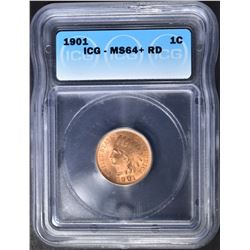 1901 INDIAN CENT  ICG MS-64+ RD