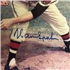 Image 2 : WARREN SPAWN SIGNED 8 X 10 BASEBALL PHOTO