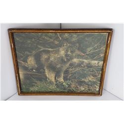Bobcat Photo Charles Peyton Montana Game Warden