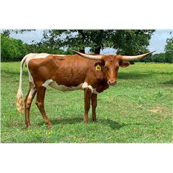 DALGOOD'S MY VALENTINE