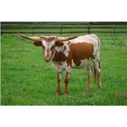 LAER BROWNIE'S CARMON