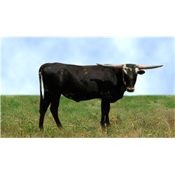 TC DEACON BILL BLACK