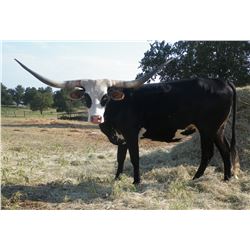 SUB LOT - BLACK EYED PEA