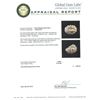 Image 5 : 14KT Yellow Gold 0.98 ctw Diamond Ring