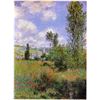 Image 1 : Claude Monet - Sentier Ile Saint-Martin 1880