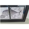Image 2 : Gyotaku by Naoki Reproduction Fish Print, Triptych, Framed 26"x12"