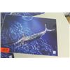 Image 2 : Qty 4 Gyotaku by Naoki Table Placemats