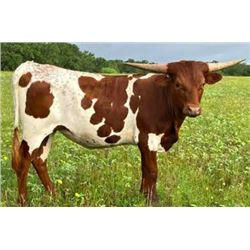 STARS SWEET INTENTION