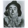 Image 1 : Wizard of Oz: Ray Bolger