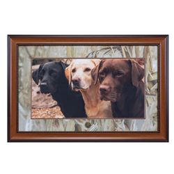 Lab Photo with Wetlands Mat