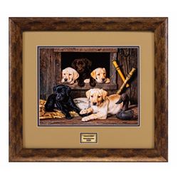 Five of a Kind Puppy Photo