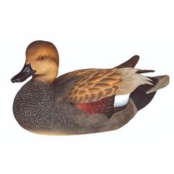 Gadwall Decoy