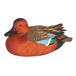 Cinnamon Teal Decoy