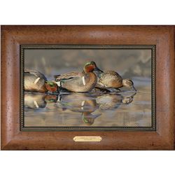 Dabbling Greens Canvas by Scot Storm