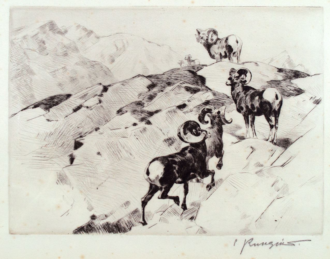 Alarmed by Carl Rungius (1869-1959)