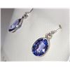 Image 2 : 14K WHITE GOLD TANZANITE (1.3CT) EARRINGS