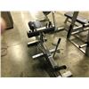 Image 2 : STAR TRAC CALF RAISE BENCH